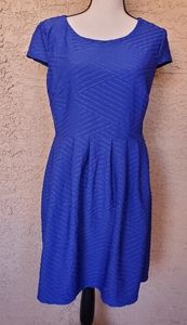 Enfocus Royal Blue Dress Size 12